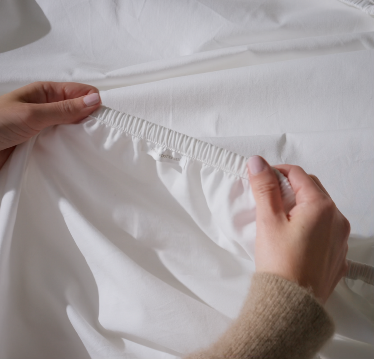Signature Fitted Sheet